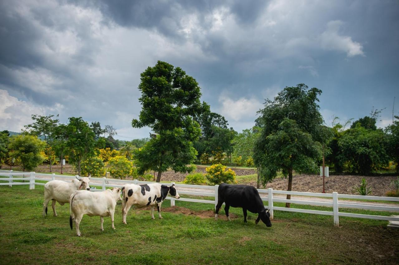 Ban Khlong Yang Green Me Organic Farm Stay Khaoyai מראה חיצוני תמונה
