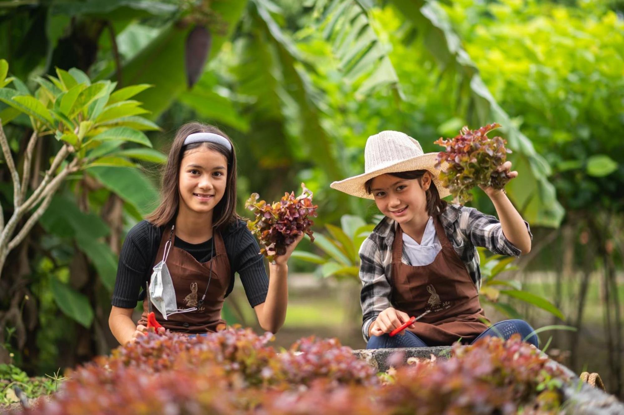 Ban Khlong Yang Green Me Organic Farm Stay Khaoyai מראה חיצוני תמונה